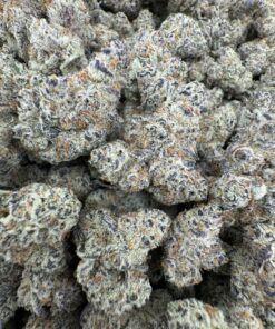 JAWBREAKER STRAIN,jawbreakers strain,space jawbreakers strain,jawbreaker strain INDICA OR SATIVA,jawbreaker weed strain