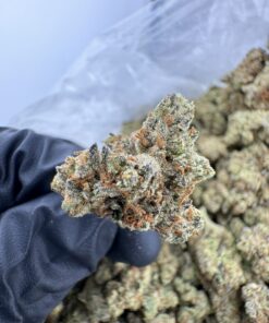 berry cream puff strain,Cream Puff Strain,berries and cream strain,berries n cream strain,berry cream strain
