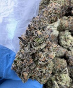TOKYO SUNSET STRAIN,tokyo sunset,tokyo smoke,tokyo og strain,tokyo runtz strain,tokyo sunset thca flower