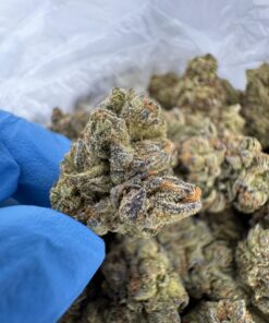 Electric Peanut Butter Cookie Strain,peanut butter cookies strain,electric peanut butter cookies strain,electric peanut butter cookies strain indica or sativa,electric peanut butter cookies strain review,pb cookies strain