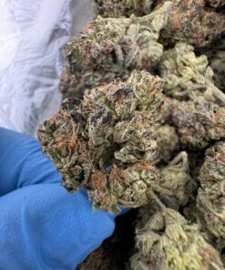 TOKYO SUNSET STRAIN,tokyo sunset,tokyo smoke,tokyo og strain,tokyo runtz strain,tokyo sunset thca flower
