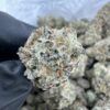 Goyard Strain,goyard extracts,Goyard weed Strain,goyard strain review,goyard strain sativa or indica
