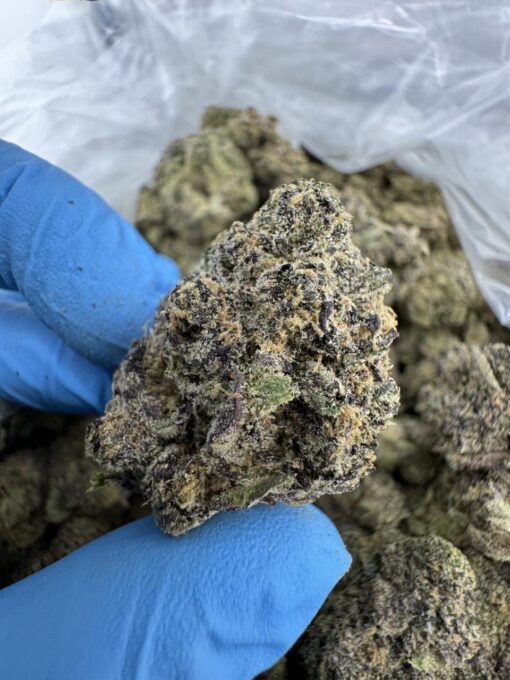 Rainbow Zangria Strain,zangria strain,rainbow zangria weed strain,Rainbow zangria strain taste,rainbow zangria strain review