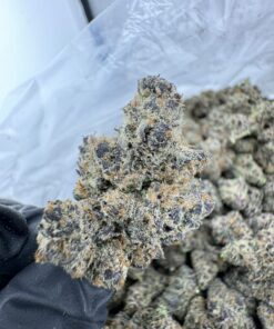 RAINBOW INFERNO STRAIN,dante's inferno strain,rainbow inferno strain indica or sativa,rainbow inferno strain effects,rainbow inferno strain review,rainbow inferno weed strain
