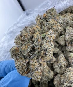 TROPICAL PAPAYA STRAIN, papaya strain effects, strawberry papaya strain, tropical papaya strain review, tropical papaya weed strain