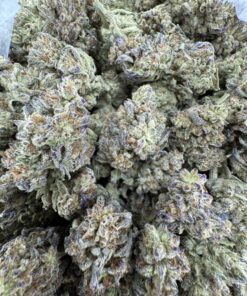 OREOZ STRAIN,lemon oreoz strain,double stuffed oreoz strain,purple oreoz strain,sour oreoz strain,oreoz strain effects,Oreoz strain indica or sativa,Oreoz strain review