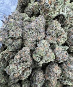 TOKYO SUNSET STRAIN,tokyo sunset,tokyo smoke,tokyo og strain,tokyo runtz strain,tokyo sunset thca flower