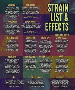 magic truffle mushroom bars,magic truffles psychedelic mushrooms chocolate,magic truffles psychedelic mushrooms,magic truffles psychedelic chocolate,magic truffles mushroom chocolate bar