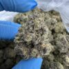 Rainbow Zangria Strain,zangria strain,rainbow zangria weed strain,Rainbow zangria strain taste,rainbow zangria strain review