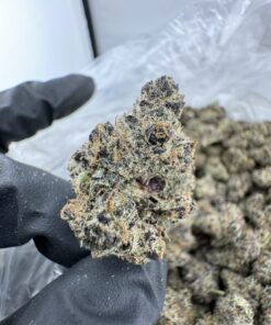 RAINBOW INFERNO STRAIN,dante's inferno strain,rainbow inferno strain indica or sativa,rainbow inferno strain effects,rainbow inferno strain review,rainbow inferno weed strain