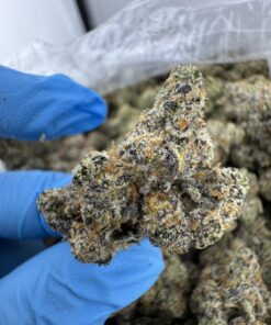 TROPICAL PAPAYA STRAIN, papaya strain effects, strawberry papaya strain, tropical papaya strain review, tropical papaya weed strain