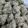 Rainbow Zangria Strain,zangria strain,rainbow zangria weed strain,Rainbow zangria strain taste,rainbow zangria strain review
