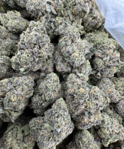 Rainbow Zangria Strain,zangria strain,rainbow zangria weed strain,Rainbow zangria strain taste,rainbow zangria strain review
