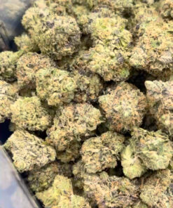 Tenco Black Zushi v2,Tenco Blue Zushi s1, zushi strain, blue sushi strain, the ten co, tenco weed, blue zushi tenco