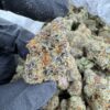 lemon drizzle strain, chocolate drizzle strain, lemon rizz strain, drizzle beach strain, cherry drizzle strain