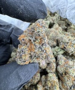 lemon drizzle strain, chocolate drizzle strain, lemon rizz strain, drizzle beach strain, cherry drizzle strain
