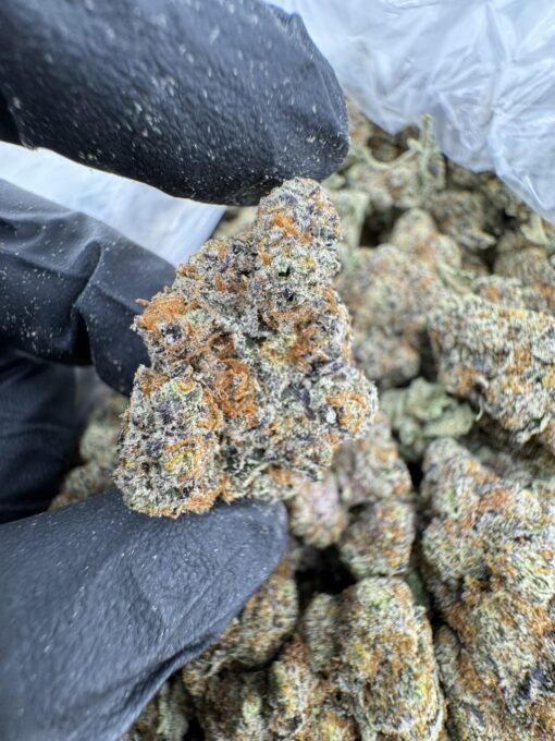 lemon drizzle strain, chocolate drizzle strain, lemon rizz strain, drizzle beach strain, cherry drizzle strain