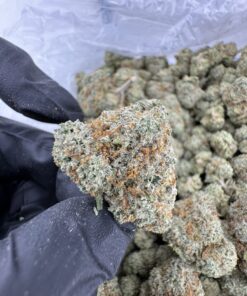 Green Lantern Strain, green lantern weed strain, lantern weed, double lantern strain, green lantern strain thc level