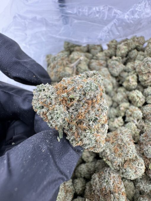 Green Lantern Strain, green lantern weed strain, lantern weed, double lantern strain, green lantern strain thc level