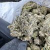candy kush strain ,top 50 strains, super candy strain, kandy kush strain, candy crushers strain, kandy kush 20 cap, candy kush