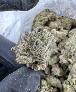 candy kush strain ,top 50 strains, super candy strain, kandy kush strain, candy crushers strain, kandy kush 20 cap, candy kush