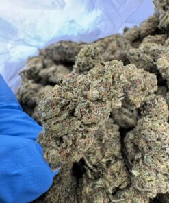 rs11 strain, rainbow sherbet strain, rs 11 strain, rs11, rainbow sherbet 11 strain, rs-11 strain