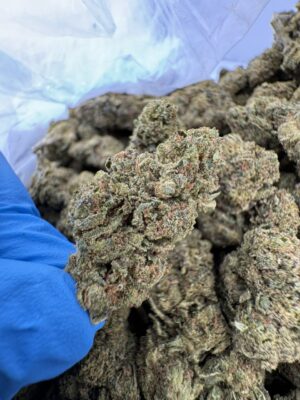 rs11 strain, rainbow sherbet strain, rs 11 strain, rs11, rainbow sherbet 11 strain, rs-11 strain