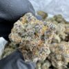 Bubblegum Runtz Strain, bubble gum runtz strain, bubble gum runtz, bubblegum runtz, bubble gum strains, bubble gum weed, bubble runtz strain