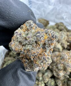 Bubblegum Runtz Strain, bubble gum runtz strain, bubble gum runtz, bubblegum runtz, bubble gum strains, bubble gum weed, bubble runtz strain