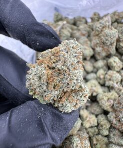 Green Lantern Strain, green lantern weed strain, lantern weed, double lantern strain, green lantern strain thc level