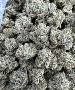 candy kush strain ,top 50 strains, super candy strain, kandy kush strain, candy crushers strain, kandy kush 20 cap, candy kush