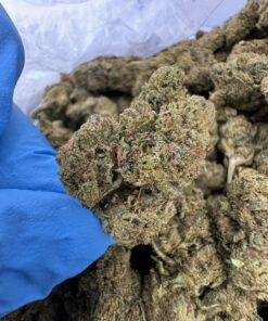 rs11 strain, rainbow sherbet strain, rs 11 strain, rs11, rainbow sherbet 11 strain, rs-11 strain