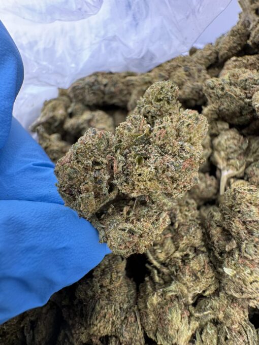rs11 strain, rainbow sherbet strain, rs 11 strain, rs11, rainbow sherbet 11 strain, rs-11 strain
