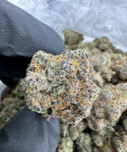 Bubblegum Runtz Strain, bubble gum runtz strain, bubble gum runtz, bubblegum runtz, bubble gum strains, bubble gum weed, bubble runtz strain
