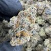 Blood Honey Strain, blood honey strain indica or sativa, blood honey strain review, blood honey strain thc, blood honey strain effects