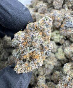 Blood Honey Strain, blood honey strain indica or sativa, blood honey strain review, blood honey strain thc, blood honey strain effects