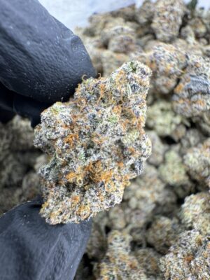 Blood Honey Strain, blood honey strain indica or sativa, blood honey strain review, blood honey strain thc, blood honey strain effects