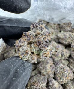 Promethazine strain,green lean strain,purple syrup strain,codeine strain, sizzurp strain