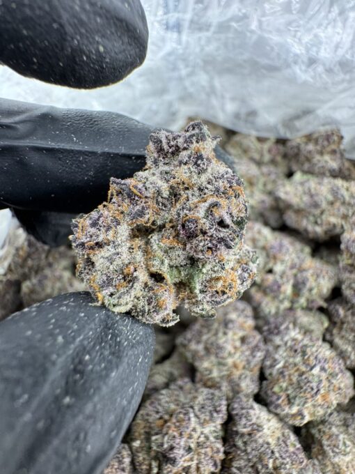 Promethazine strain,green lean strain,purple syrup strain,codeine strain, sizzurp strain