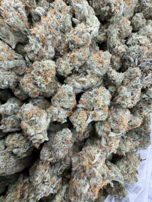 Papaya Punch Strain, papaya juice strain, papaya punch, papaya punch weed strain, papaya weed strain
