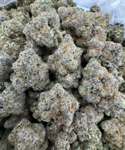 Bubblegum Runtz Strain, bubble gum runtz strain, bubble gum runtz, bubblegum runtz, bubble gum strains, bubble gum weed, bubble runtz strain