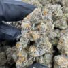 Blood Honey Strain, blood honey strain indica or sativa, blood honey strain review, blood honey strain thc, blood honey strain effects