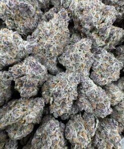 Promethazine strain,green lean strain,purple syrup strain,codeine strain, sizzurp strain