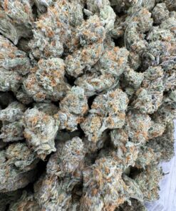 Papaya Punch Strain, papaya juice strain, papaya punch, papaya punch weed strain, papaya weed strain