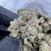 candy kush strain ,top 50 strains, super candy strain, kandy kush strain, candy crushers strain, kandy kush 20 cap, candy kush