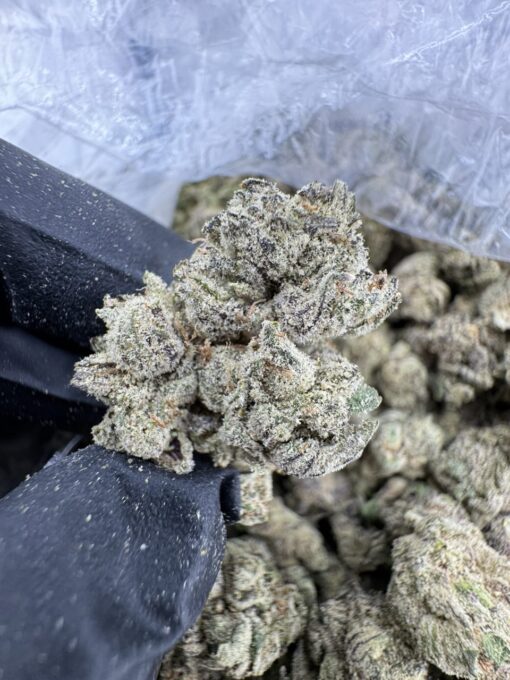 candy kush strain ,top 50 strains, super candy strain, kandy kush strain, candy crushers strain, kandy kush 20 cap, candy kush