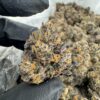 Opal Strain, opal aura og strain, opal aura, opal aura strain, opals and banonoze strain