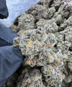 purple urkle weed strain, purple urkle seeds, purple urkle where to buy online, purple urkle strain effects, urkle strain, purple urkle near me, purple urkle indica or sativa