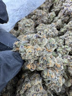 purple urkle weed strain, purple urkle seeds, purple urkle where to buy online, purple urkle strain effects, urkle strain, purple urkle near me, purple urkle indica or sativa