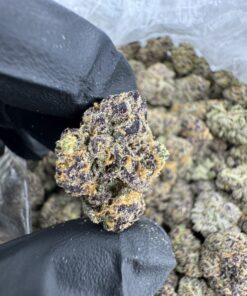 Blueberry Runtz Strain, blueberry runtz​, blueberry runts​, blue runtz strain​, berry runtz strain​, blue runtz​